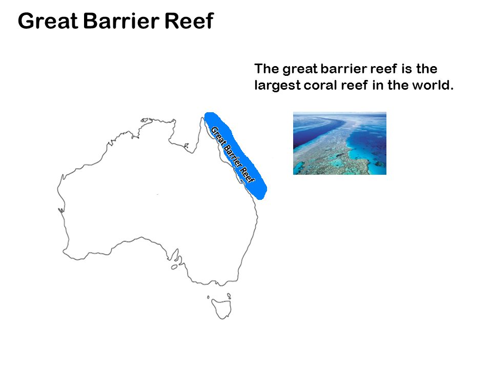 Great Barrier Reef The great barrier reef is the largest coral reef in the world.