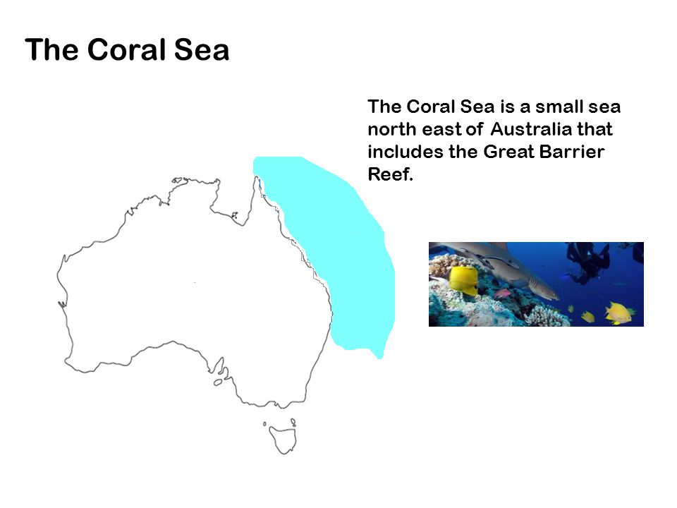 The Coral Sea The Coral Sea is a small sea north east of Australia that includes the Great Barrier Reef.