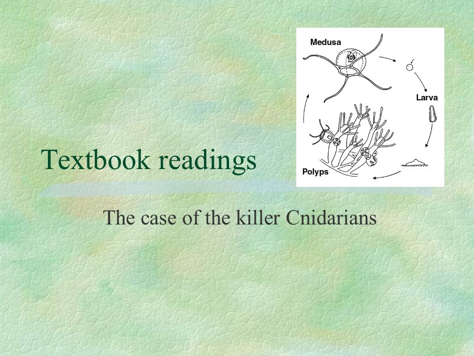 The case of the killer Cnidarians