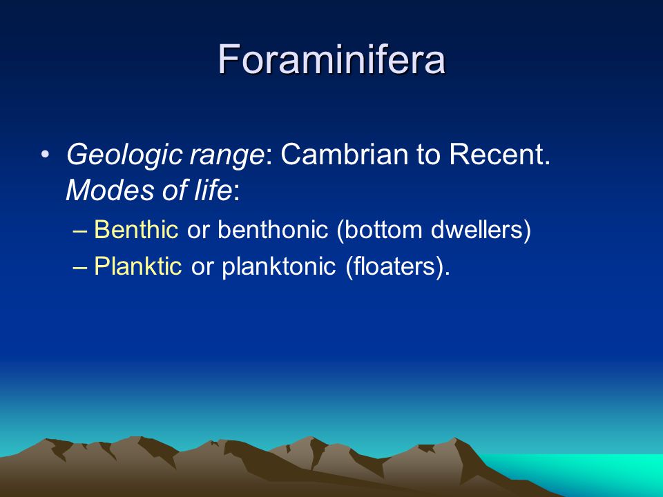 Foraminifera Geologic range: Cambrian to Recent. Modes of life: