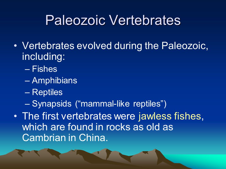 Paleozoic Vertebrates