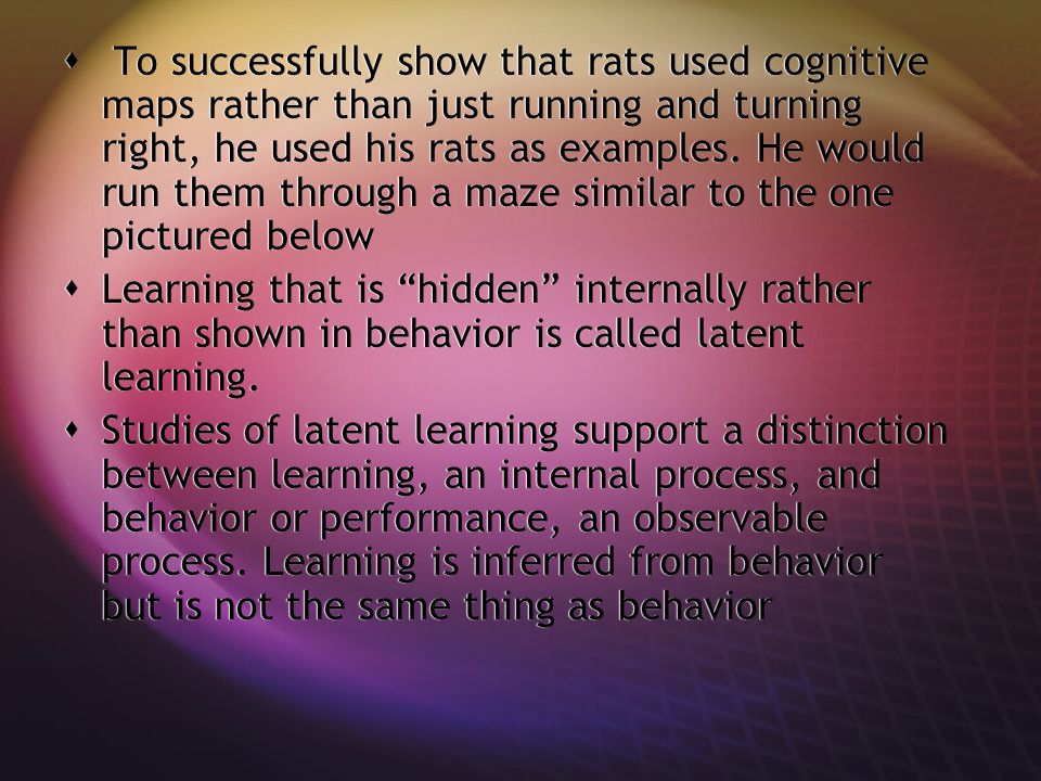 To successfully show that rats used cognitive maps rather than just running and turning right, he used his rats as examples. He would run them through a maze similar to the one pictured below