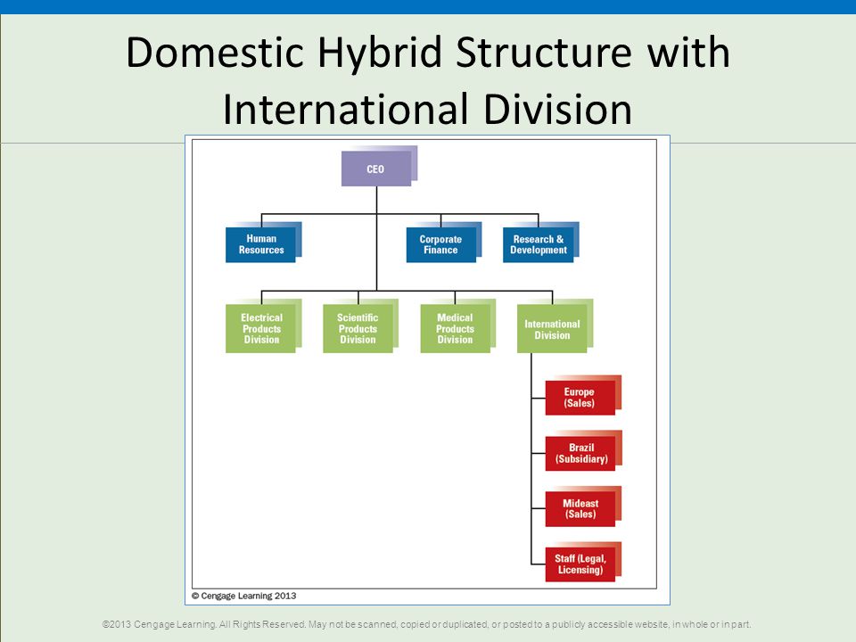 Domestic Hybrid Structure with International Division