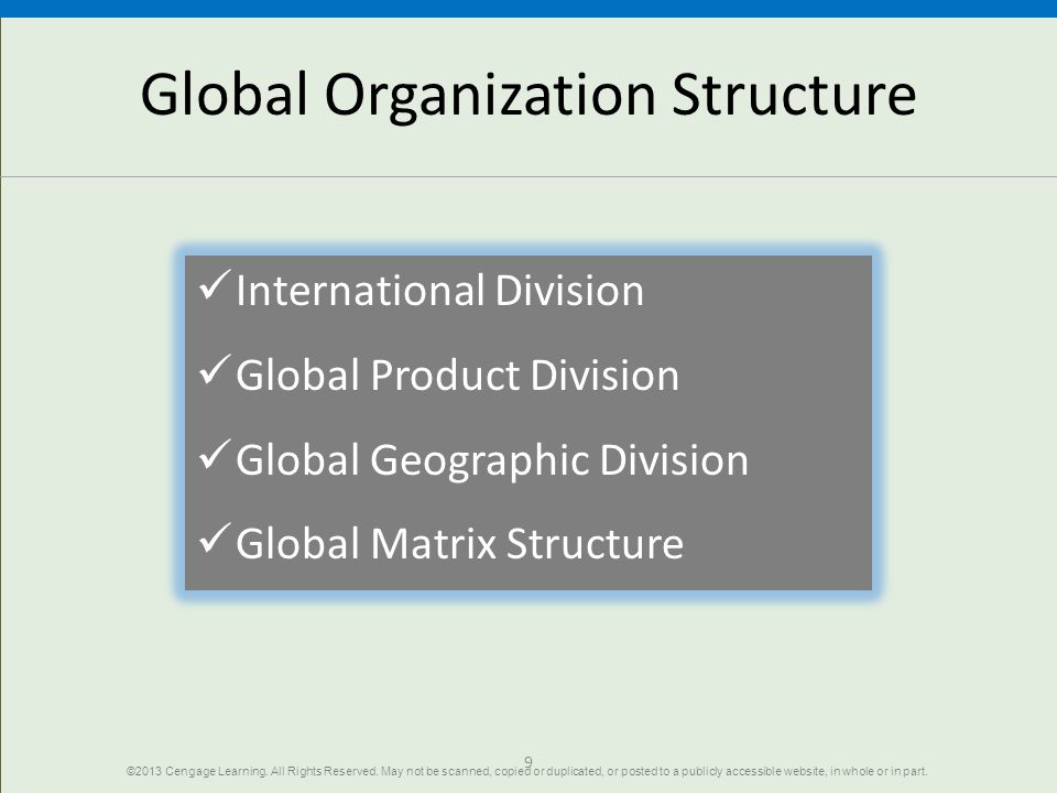 Global Organization Structure