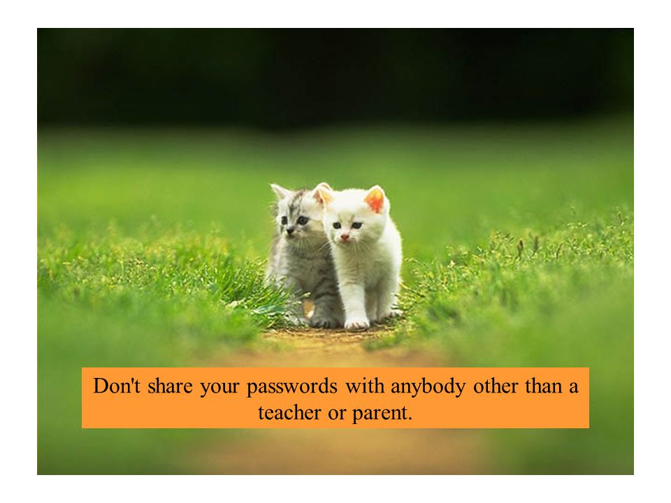 Don t share your passwords with anybody other than a teacher or parent.