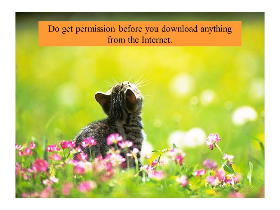 Do get permission before you download anything from the Internet.