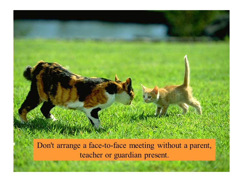 Don t arrange a face-to-face meeting without a parent, teacher or guardian present.