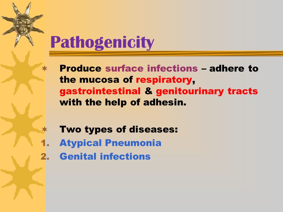 Pathogenicity Produce surface infections – adhere to the mucosa of respiratory, gastrointestinal & genitourinary tracts with the help of adhesin.