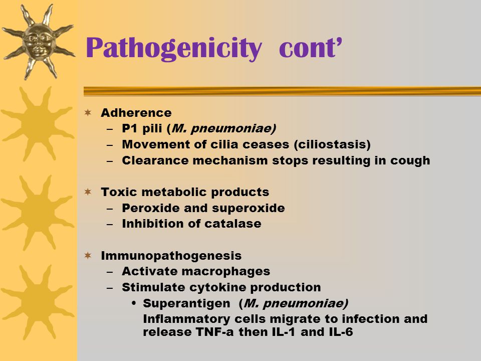 Pathogenicity cont’ Adherence P1 pili (M. pneumoniae)