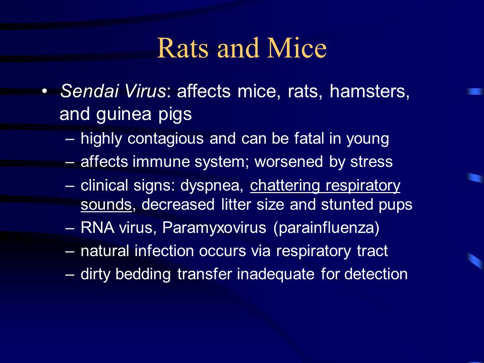 LATG: Chapters Common Diseases of Lab Animals Lab Animal Serology - ppt  video online download