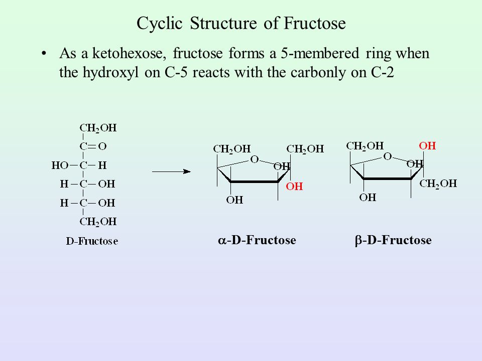 Cyclic Structure of Fructose