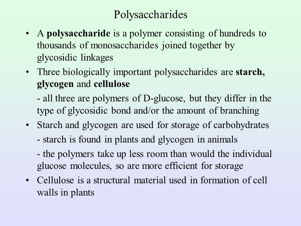 Polysaccharides A polysaccharide is a polymer consisting of hundreds to thousands of monosaccharides joined together by glycosidic linkages.