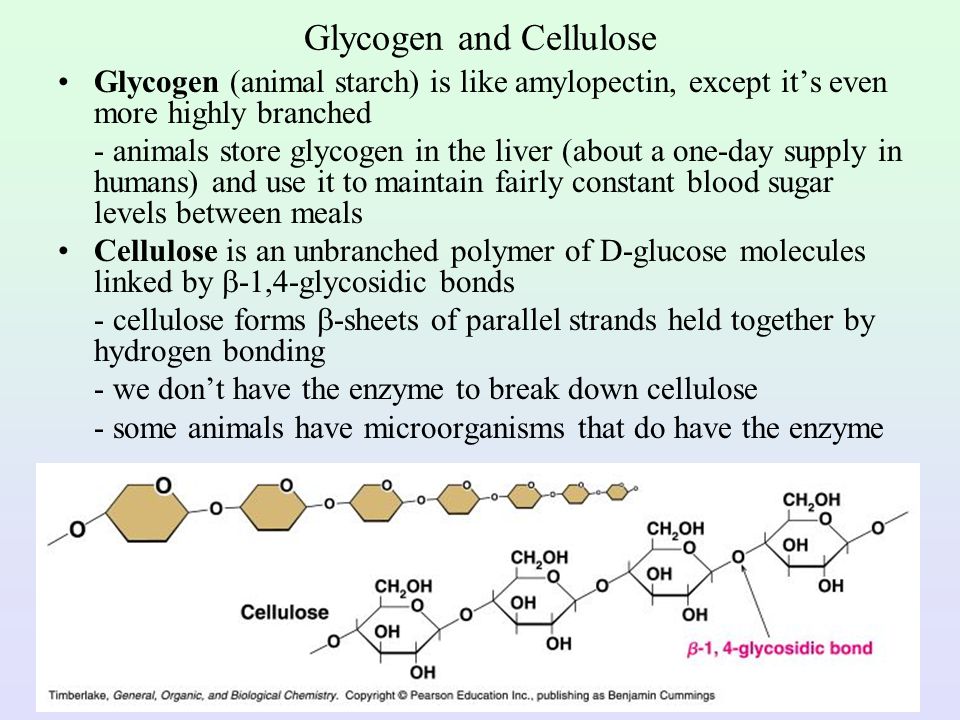 Glycogen and Cellulose