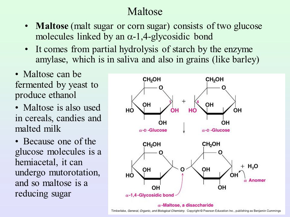 Maltose Maltose (malt sugar or corn sugar) consists of two glucose molecules linked by an -1,4-glycosidic bond.