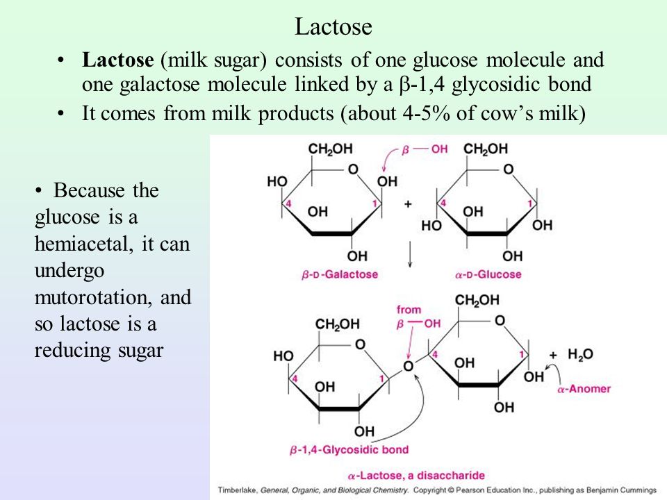 Lactose Lactose (milk sugar) consists of one glucose molecule and one galactose molecule linked by a -1,4 glycosidic bond.