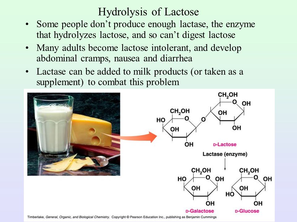 Hydrolysis of Lactose Some people don’t produce enough lactase, the enzyme that hydrolyzes lactose, and so can’t digest lactose.