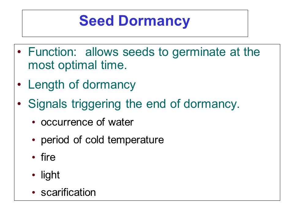 Seed Dormancy Function: allows seeds to germinate at the most optimal time. Length of dormancy. Signals triggering the end of dormancy.