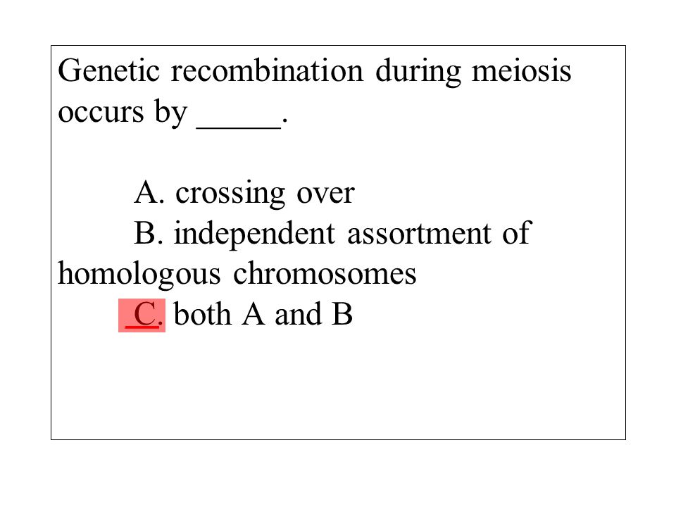 independent assortment of chromosomes occurs during _____