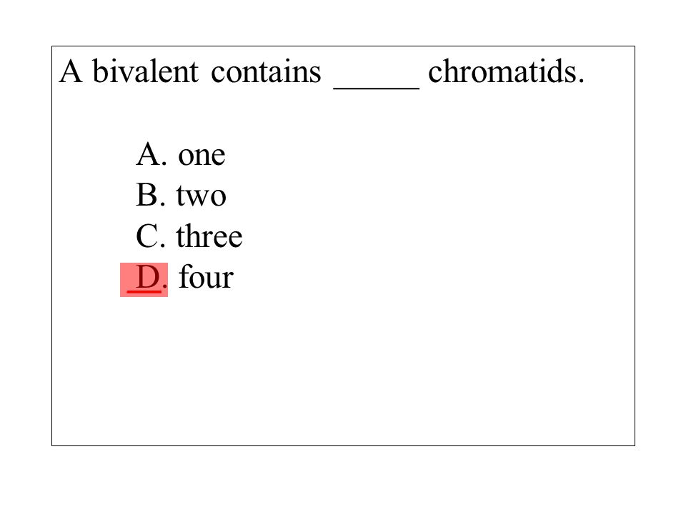 A bivalent contains _____ chromatids. A. one B. two C. three D. four