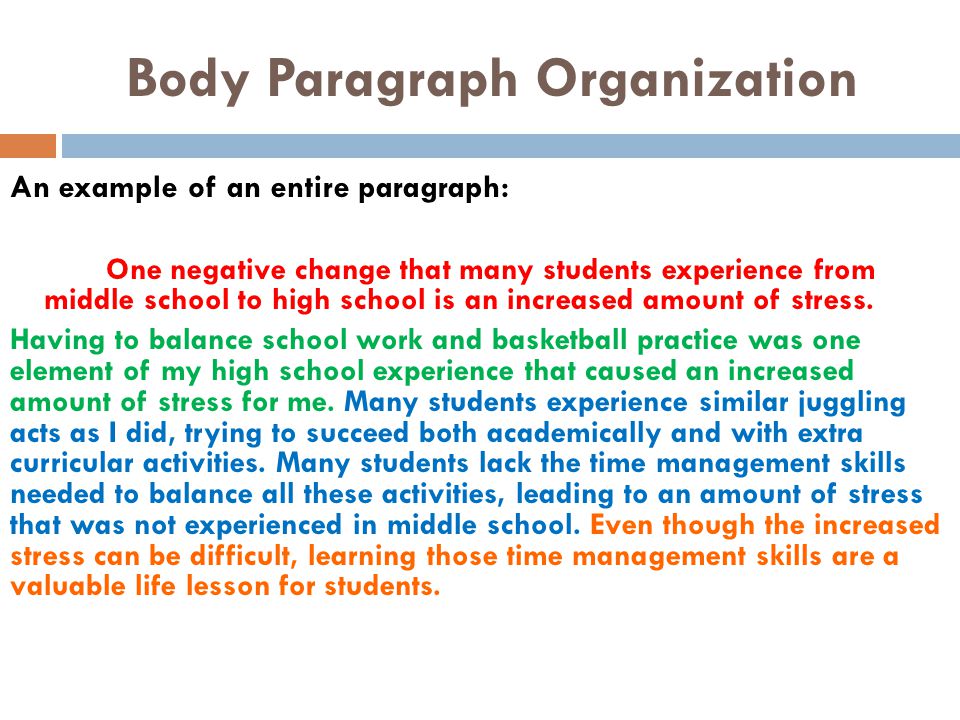 Body Paragraph Organization