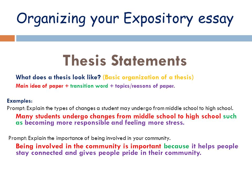 Organizing your Expository essay