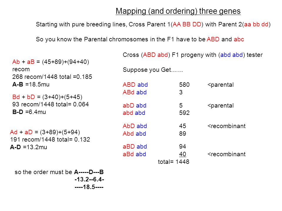Mapping (and ordering) three genes