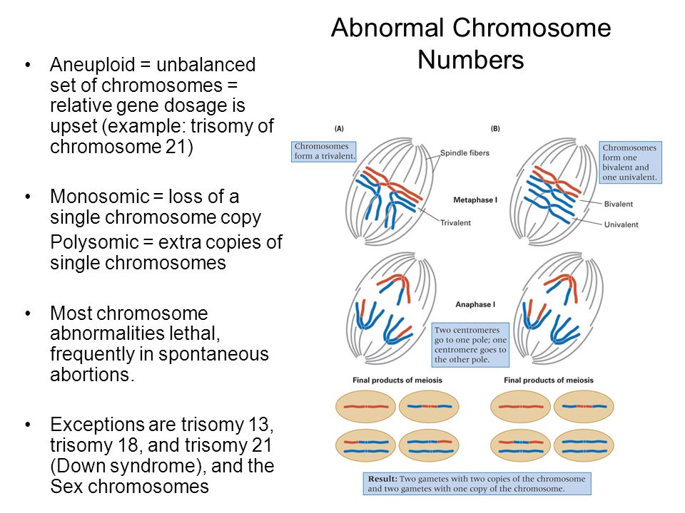 Abnormal Chromosome Numbers