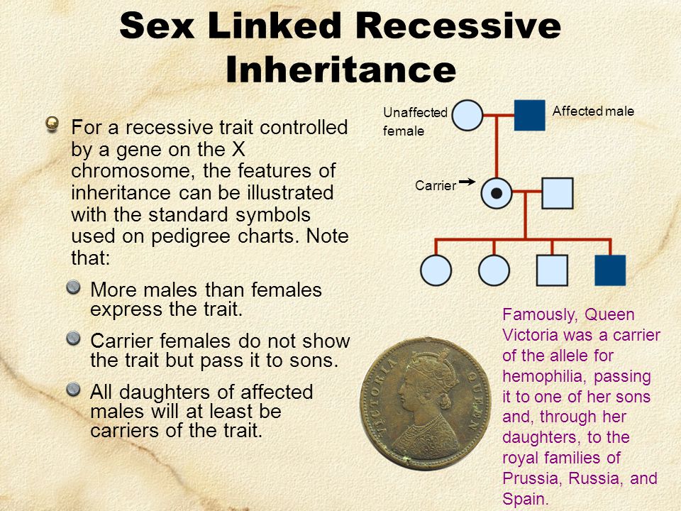 Sex Linked Recessive Inheritance.