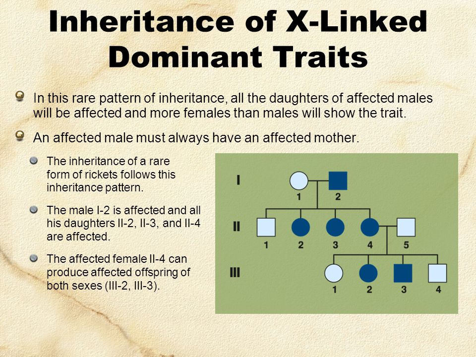 Inheritance of X-Linked Dominant Traits.
