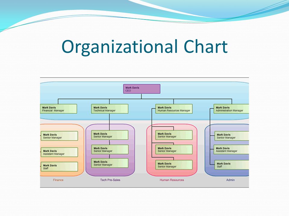Infosys Org Chart