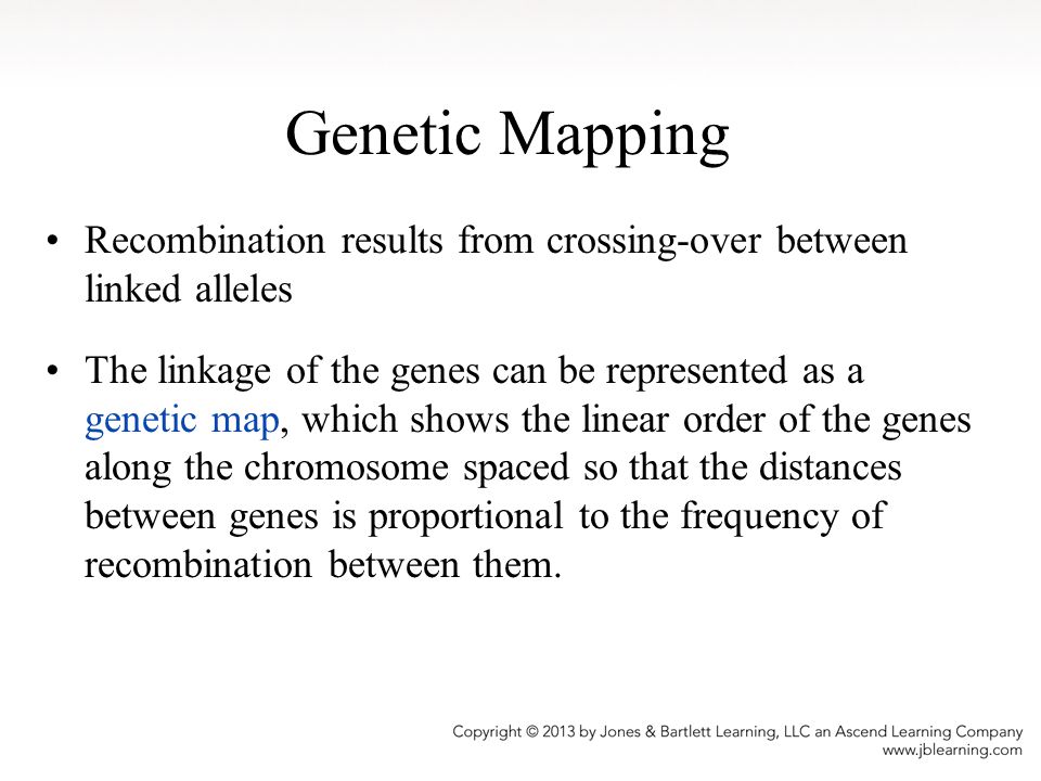 Genetic Mapping Recombination results from crossing-over between linked alleles.
