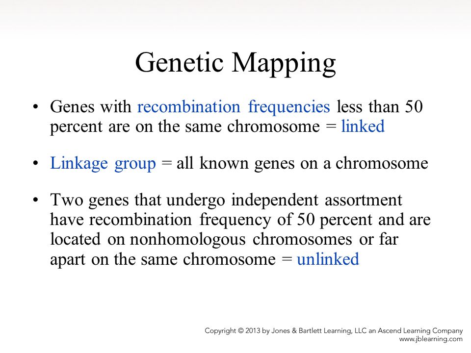 Genetic Mapping Genes with recombination frequencies less than 50 percent are on the same chromosome = linked.