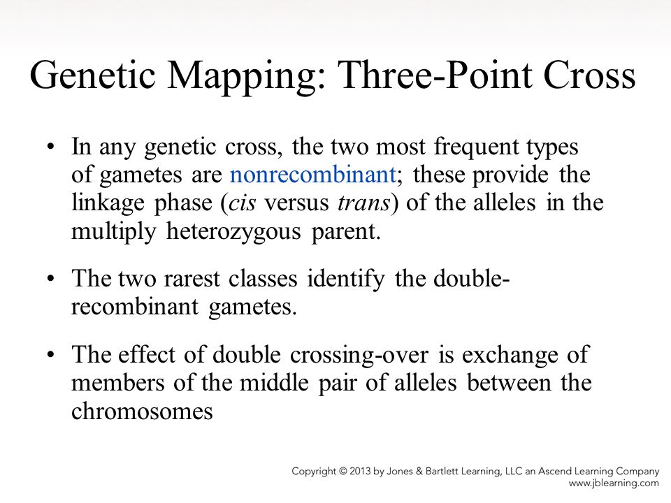 Genetic Mapping: Three-Point Cross