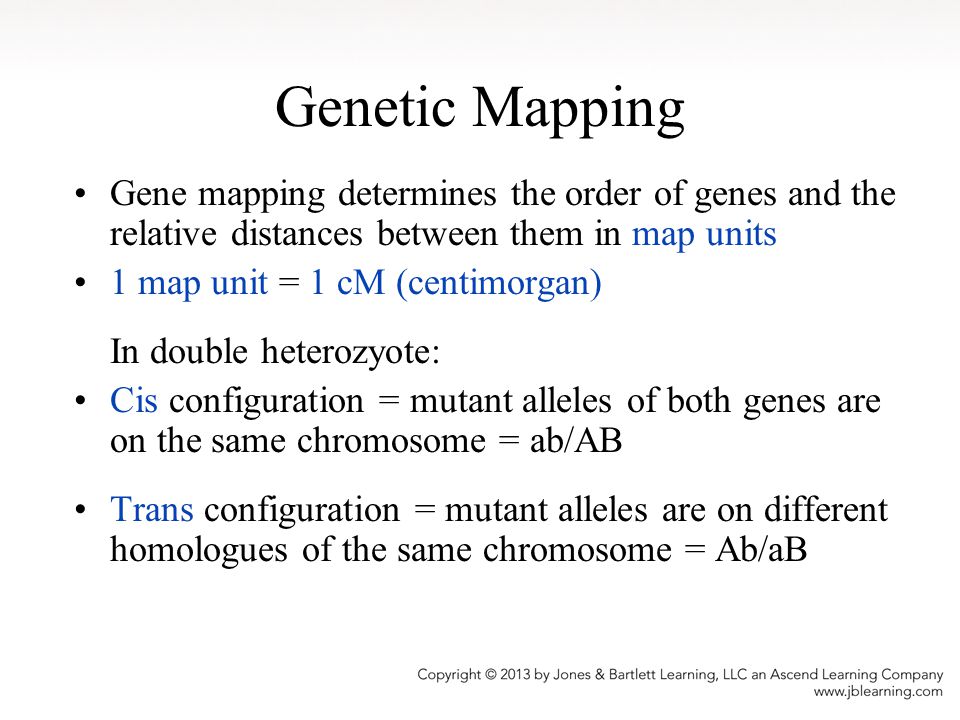 Genetic Mapping Gene mapping determines the order of genes and the relative distances between them in map units.