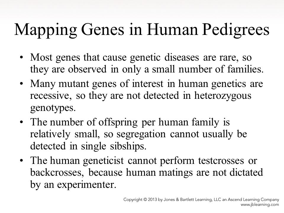 Mapping Genes in Human Pedigrees