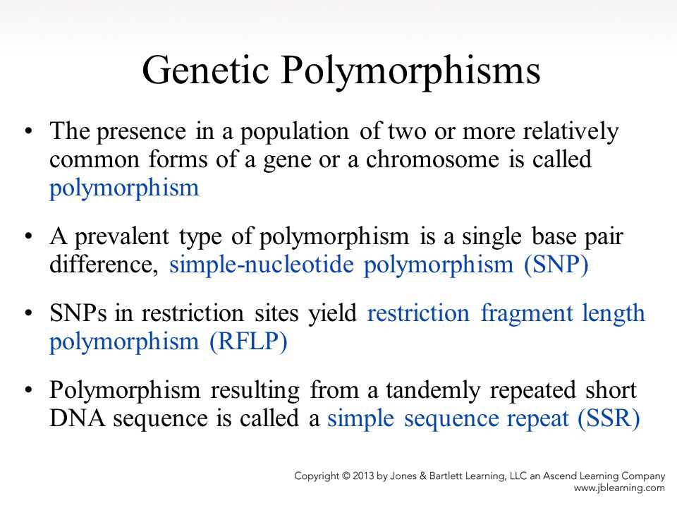 Genetic Polymorphisms