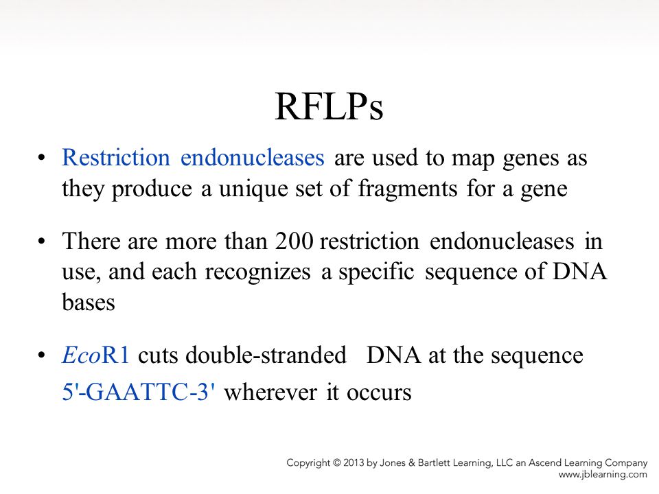 RFLPs Restriction endonucleases are used to map genes as they produce a unique set of fragments for a gene.