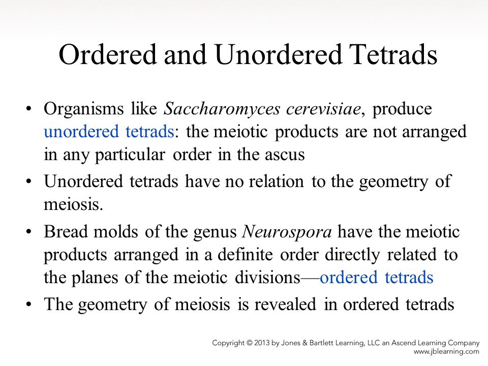 Ordered and Unordered Tetrads