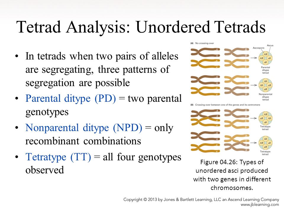 Tetrad Analysis: Unordered Tetrads