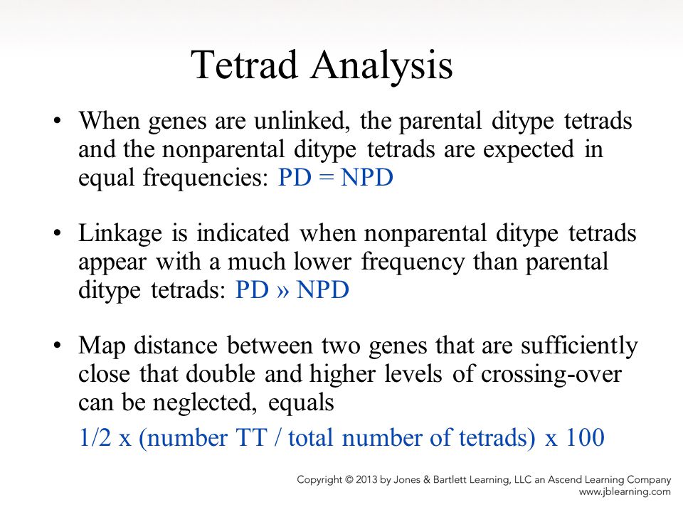 Tetrad Analysis When genes are unlinked, the parental ditype tetrads and the nonparental ditype tetrads are expected in equal frequencies: PD = NPD.