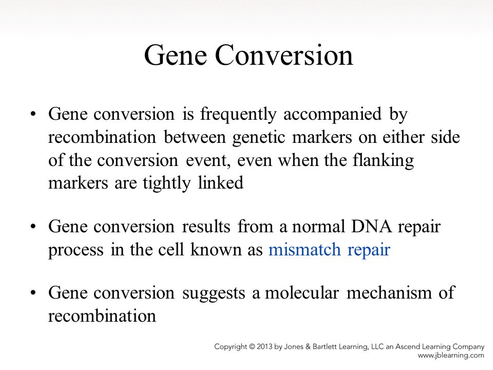 Gene Conversion