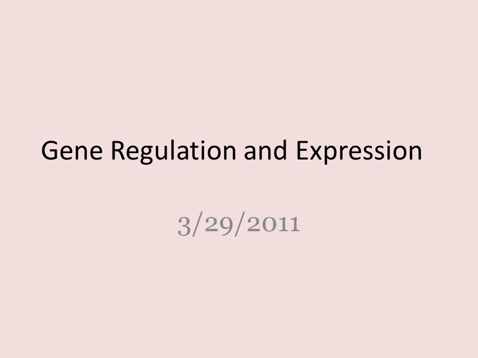 Gene Regulation and Expression