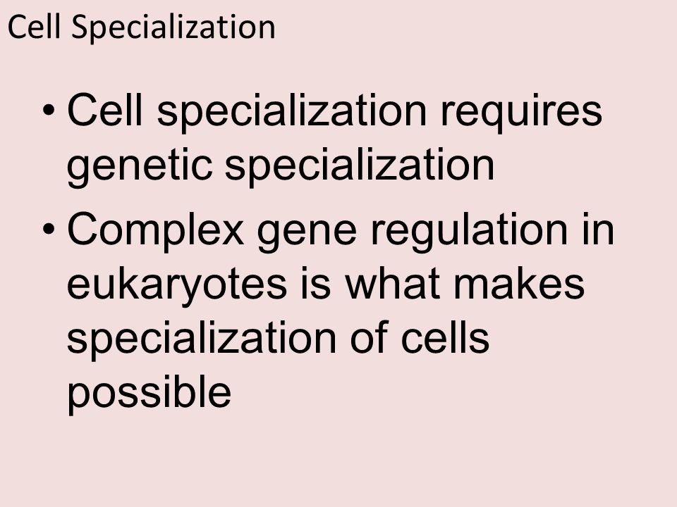 Cell specialization requires genetic specialization