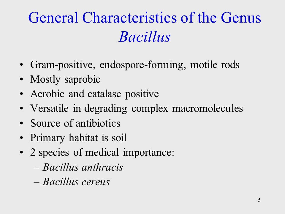 General Characteristics of the Genus Bacillus