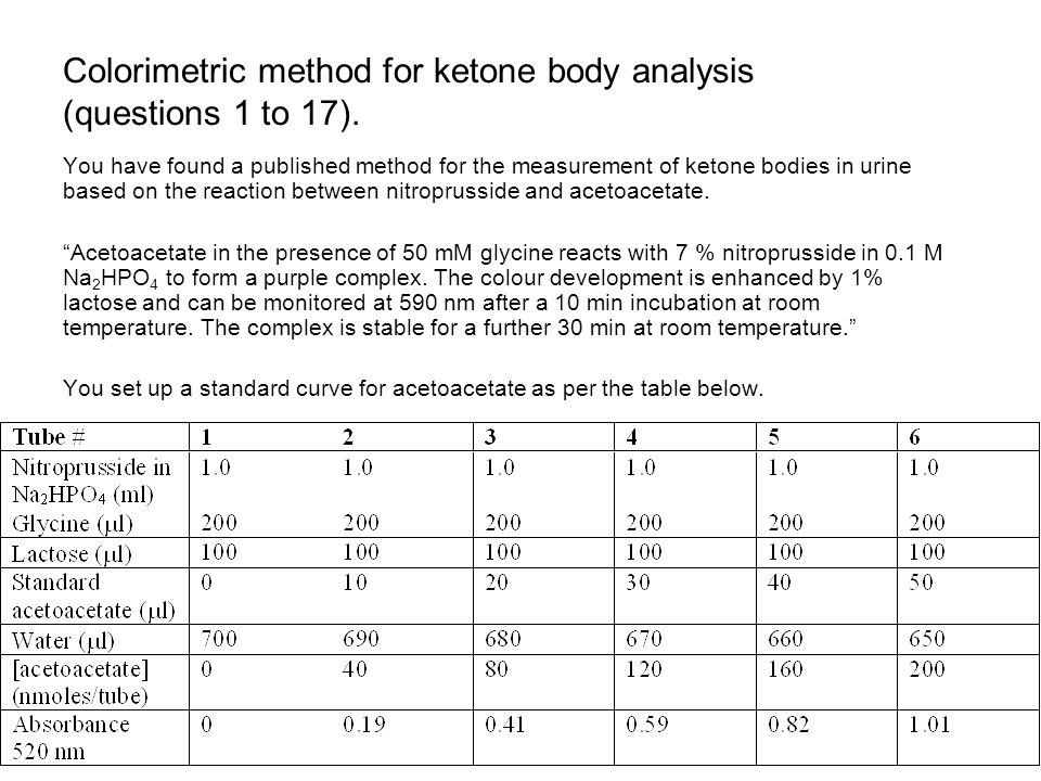 2004 Theory Of Practical Paper Ppt Download