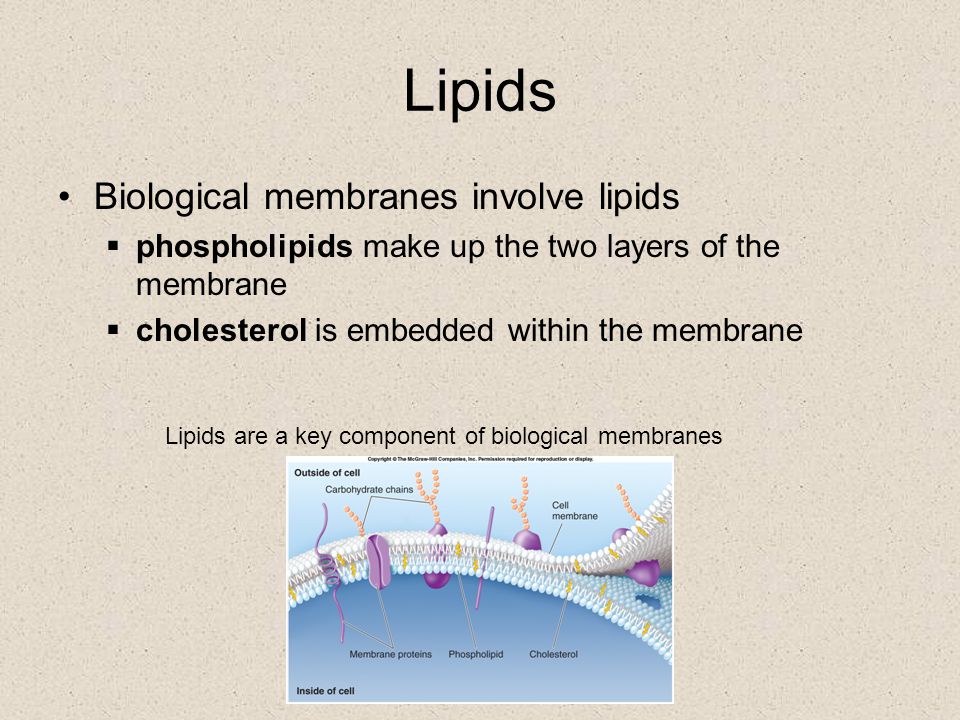 Lipids Biological membranes involve lipids