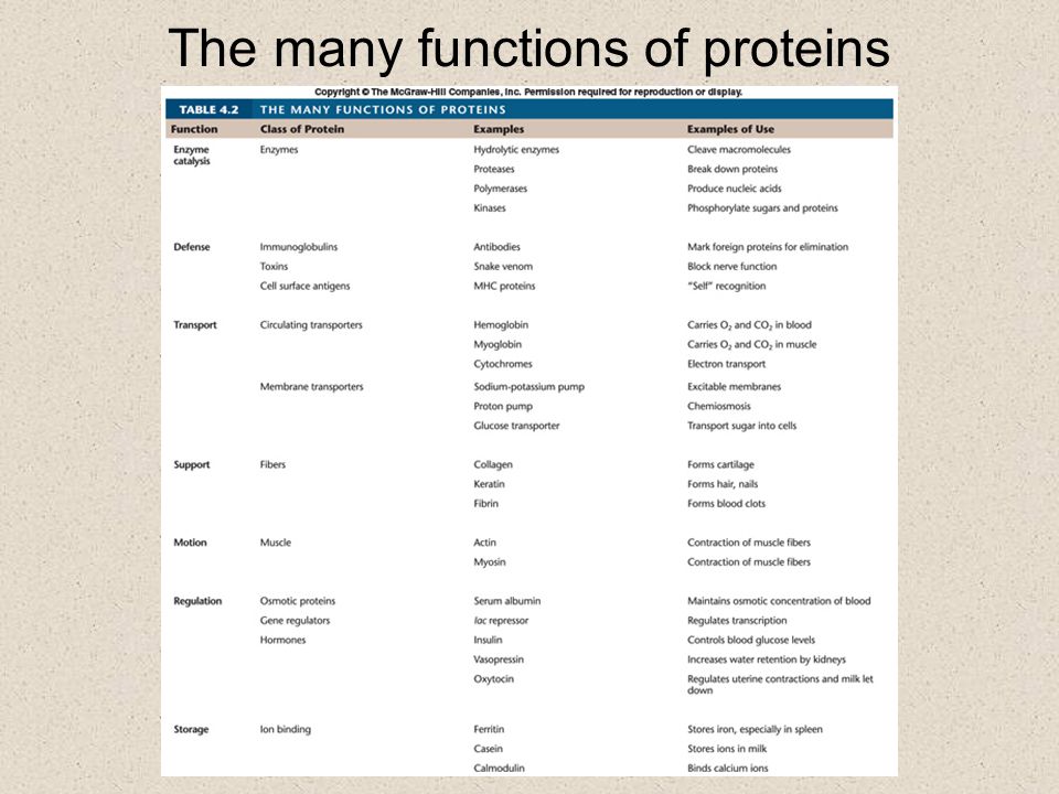 The many functions of proteins