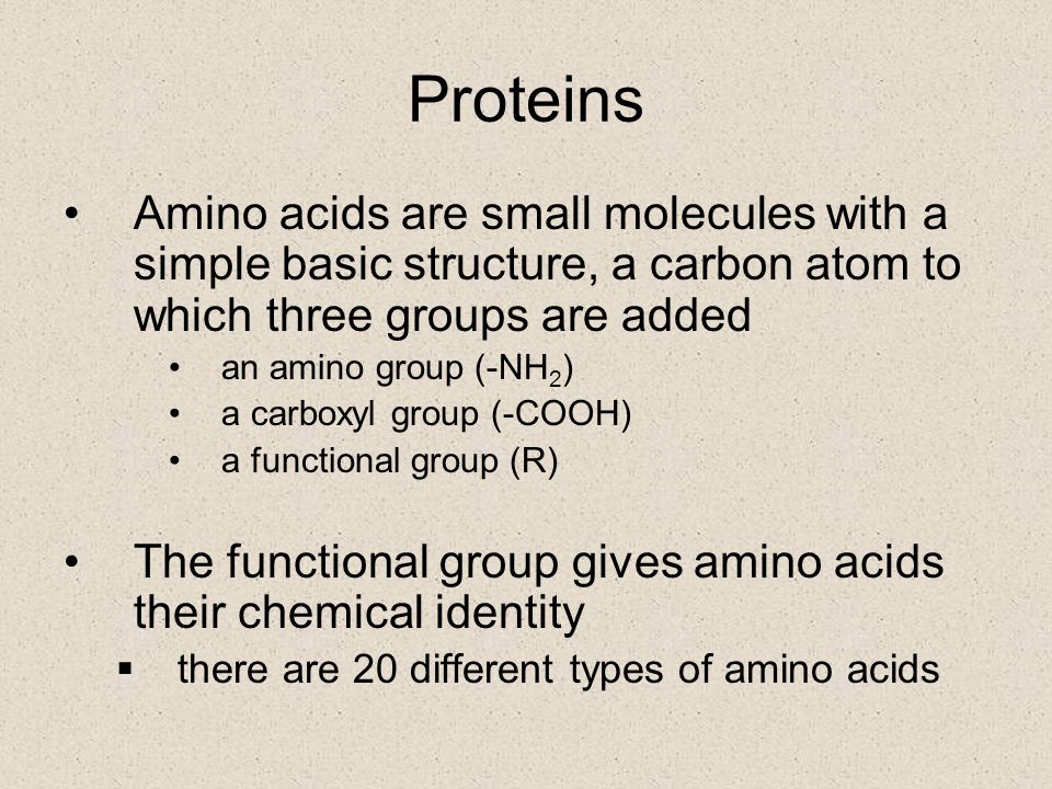 Proteins Amino acids are small molecules with a simple basic structure, a carbon atom to which three groups are added.