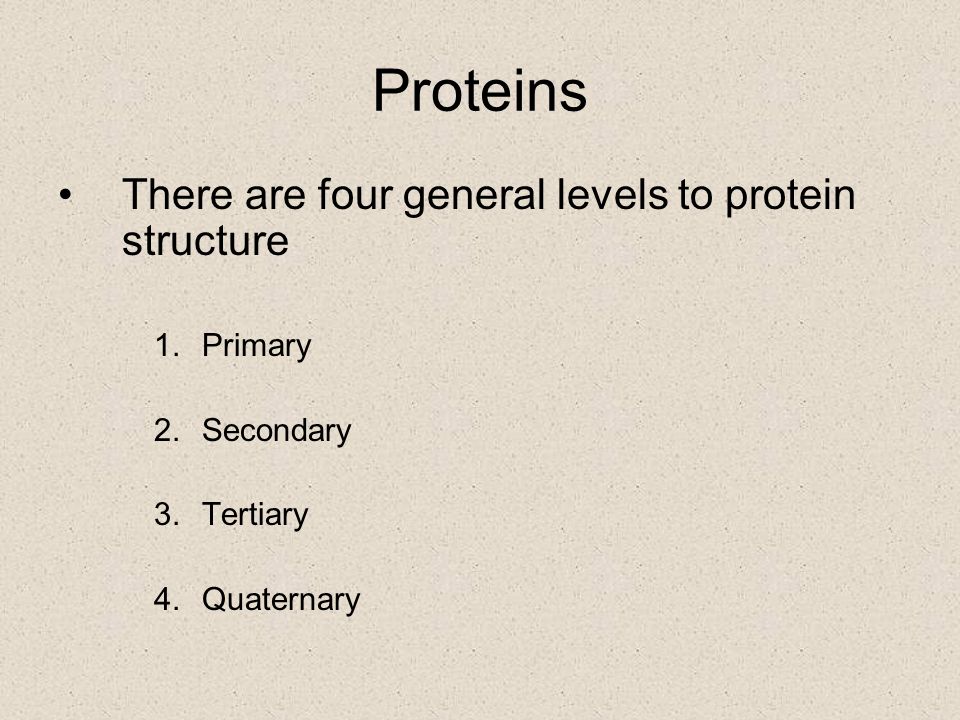 Proteins There are four general levels to protein structure Primary