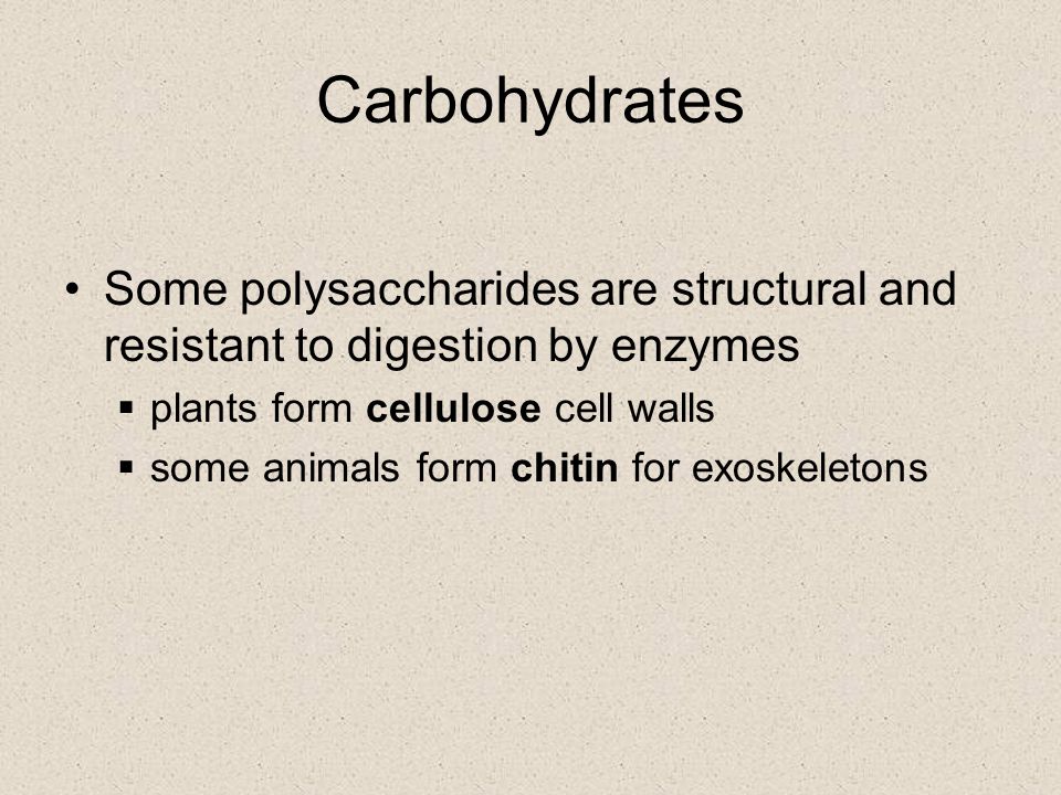 Carbohydrates Some polysaccharides are structural and resistant to digestion by enzymes. plants form cellulose cell walls.